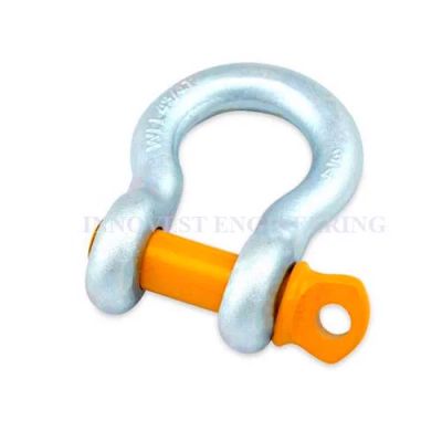 Bow Shackle