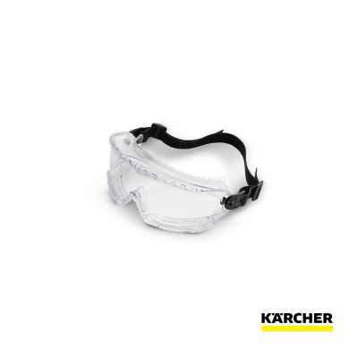 Karcher Safety Glasses