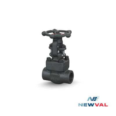 NEWVAL GL209 FORGED STEEL A105 GLOBE VALVE, 800#, NPT