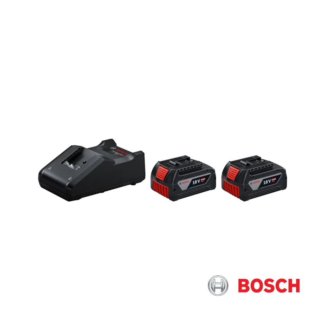 Bosch 18V 4.0 Ah (2 Batteries) + GAL 12 V-40 CV (1 Charger)