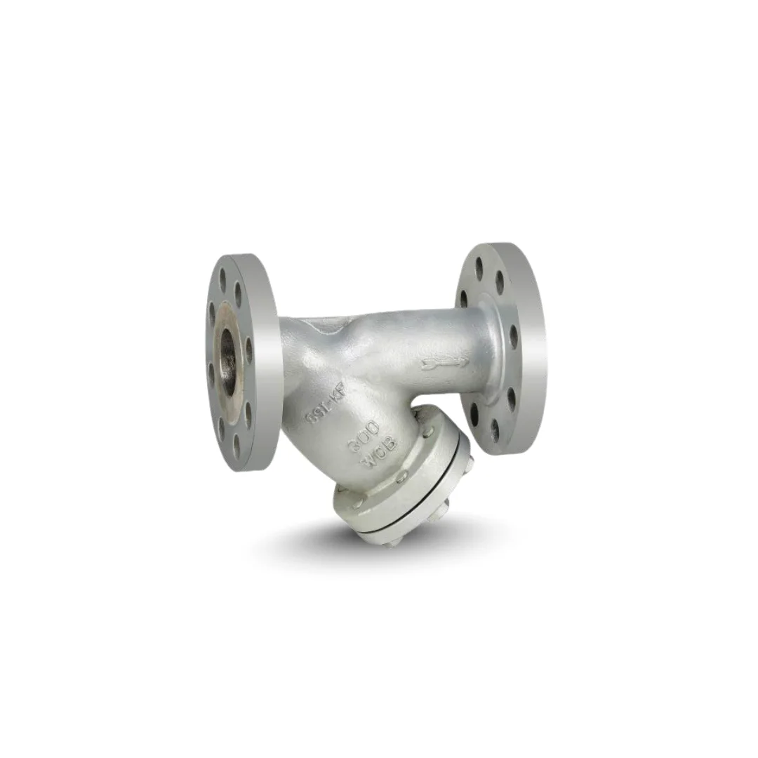 Newval Y-Strainer FIG YS604 300LB