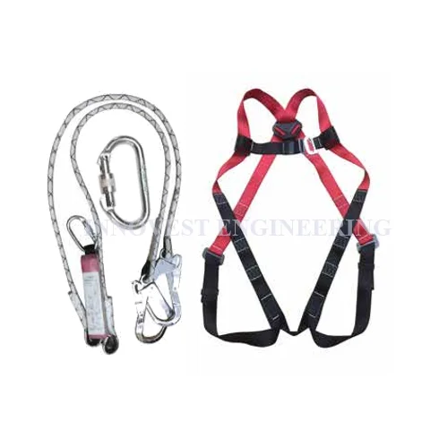Picasaf 681215 Full Body Harness Set