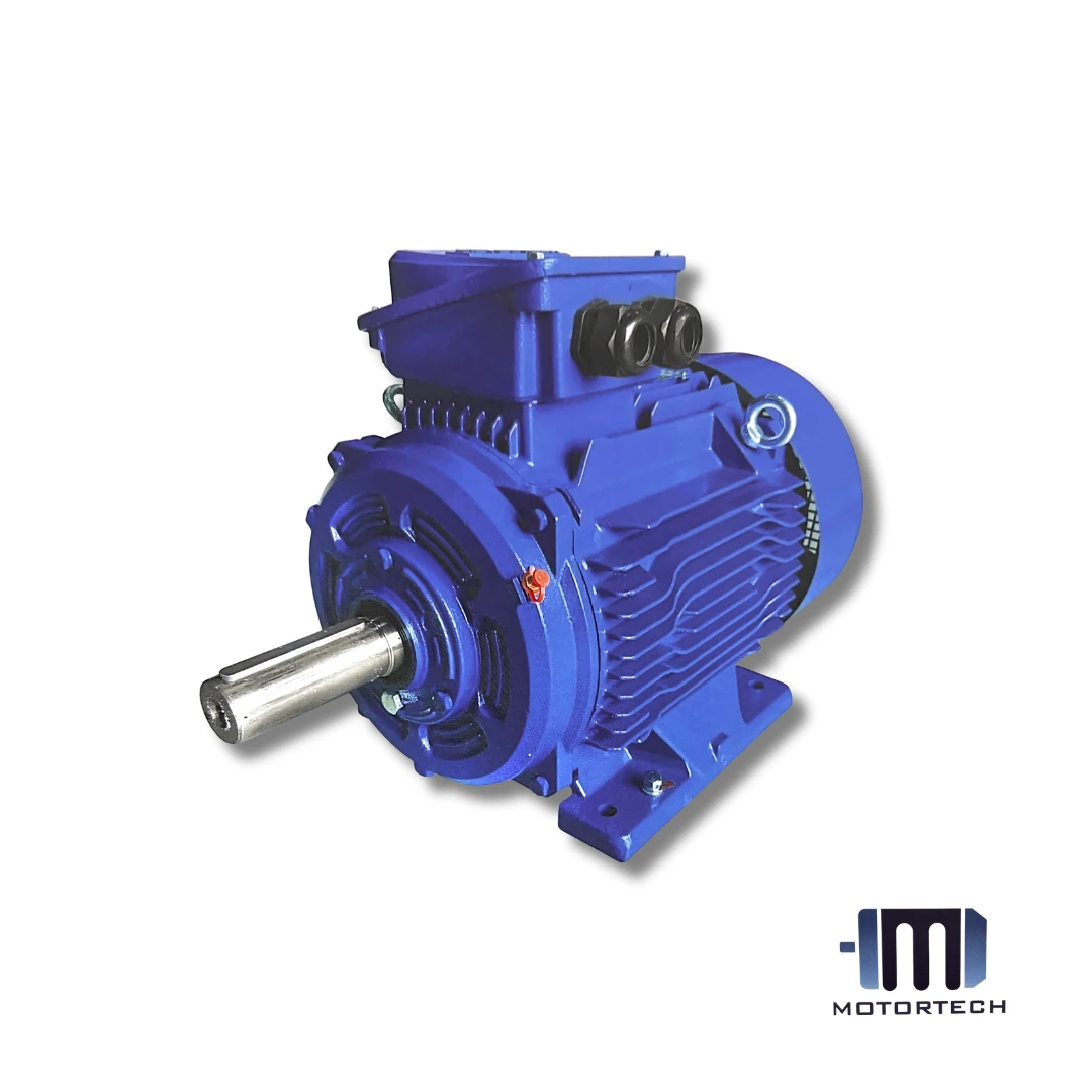 Motology Cast Iron Induction Motor,3 Phase,4P,IE2