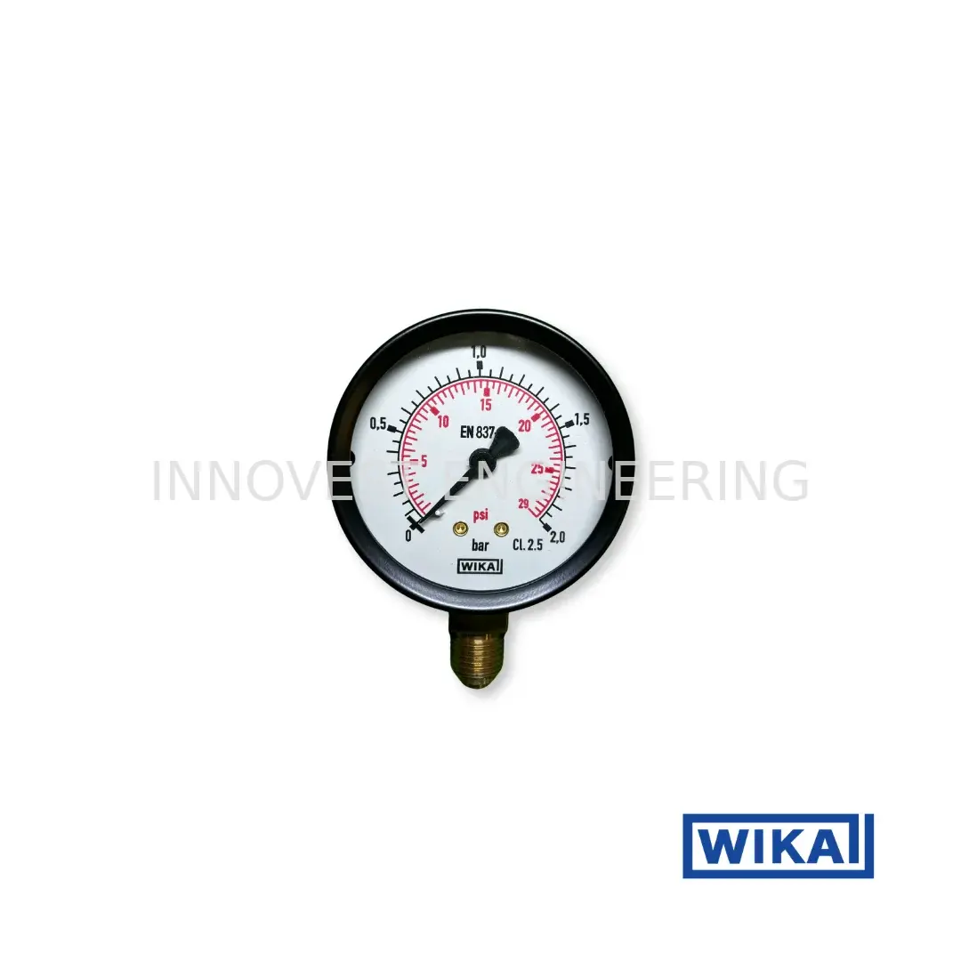 WIKA 111.10.063 General Pressure Gauge, G1/4B, Bottom Connection